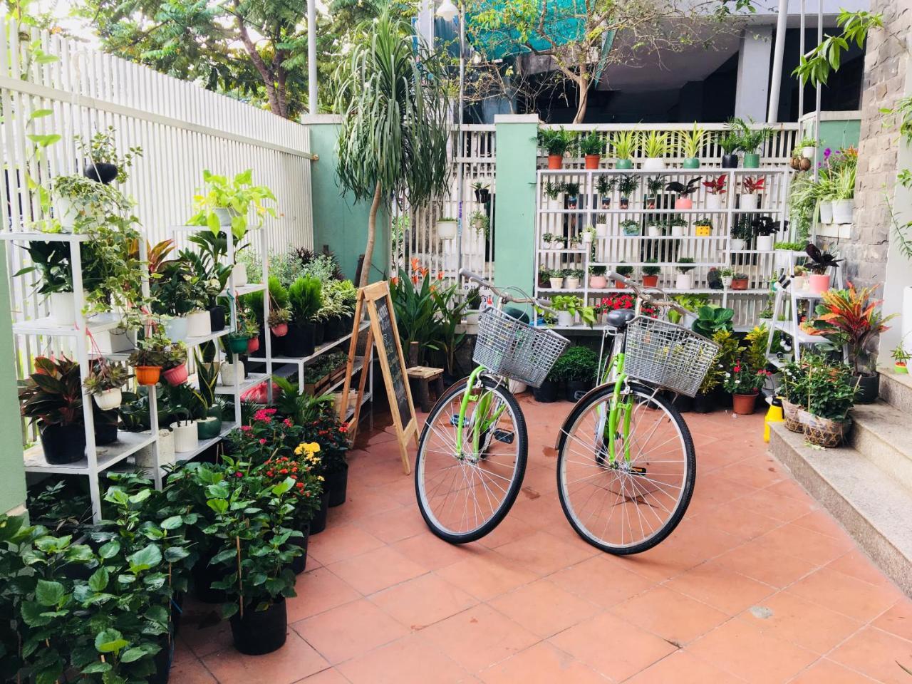 Bamboo Homestay Huế Ngoại thất bức ảnh